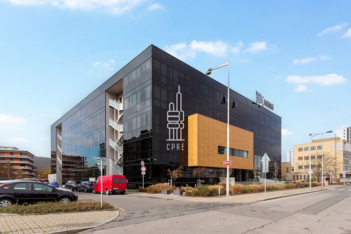 Pronájem kanceláře 250 m²