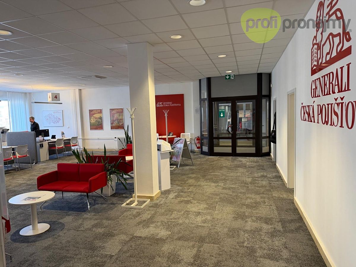 Pronájem obchodního prostoru 260 m² – fotografie 3