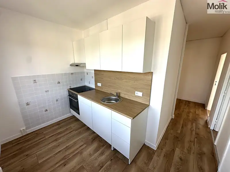 Pronájem bytu 2+1 52 m², Duchcov – náhled fotky 1