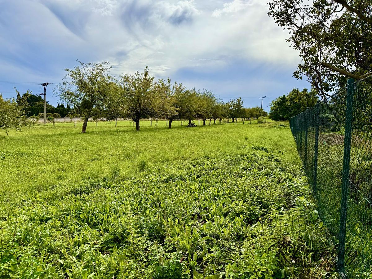 Prodej stavebního pozemku 1306 m² – fotografie 2