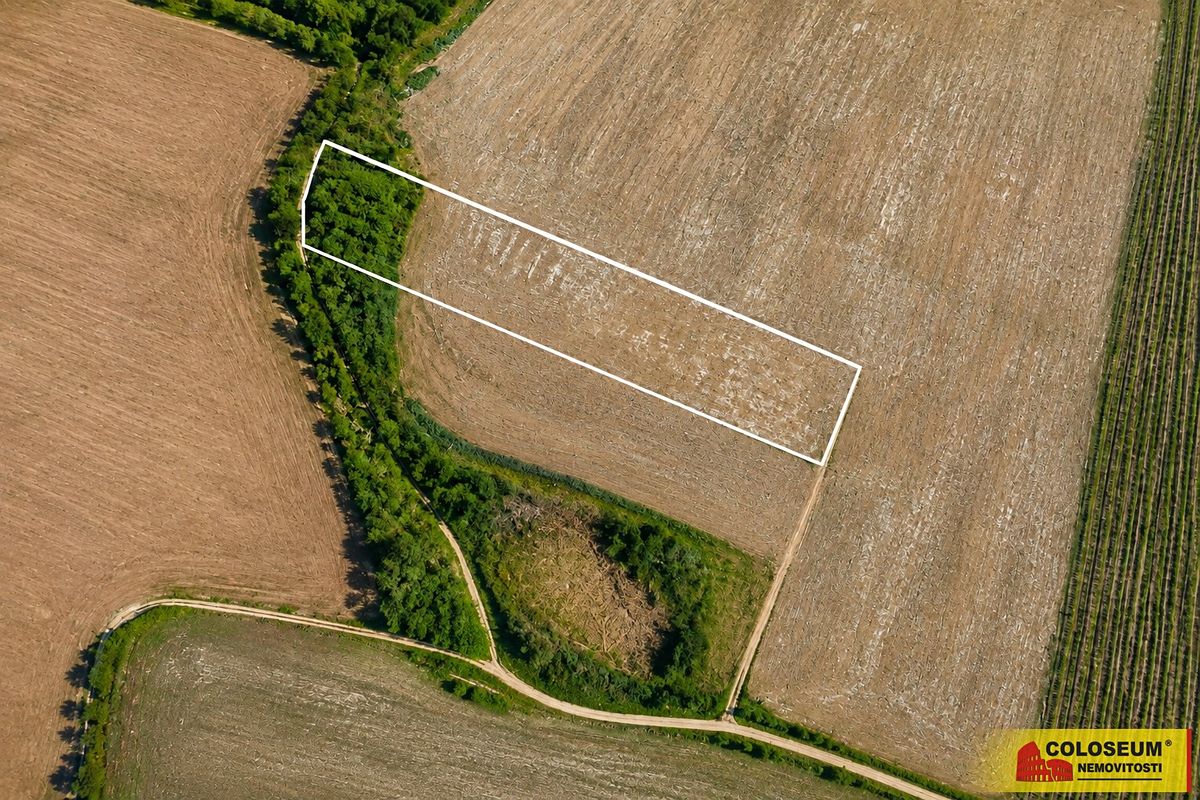 Prodej pole 8295 m² – fotografie 2