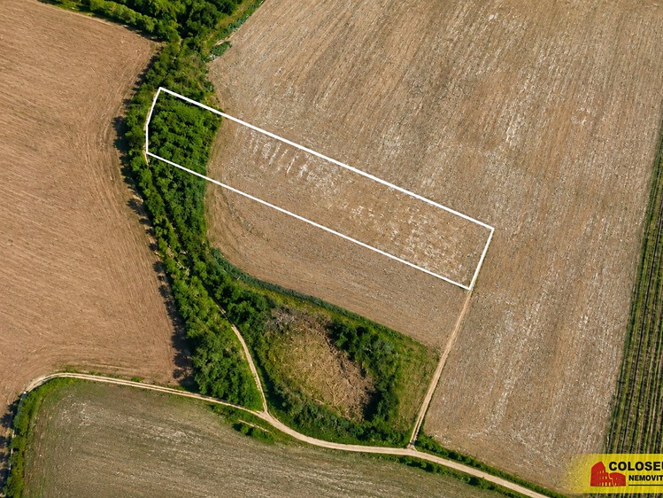 Ostatní