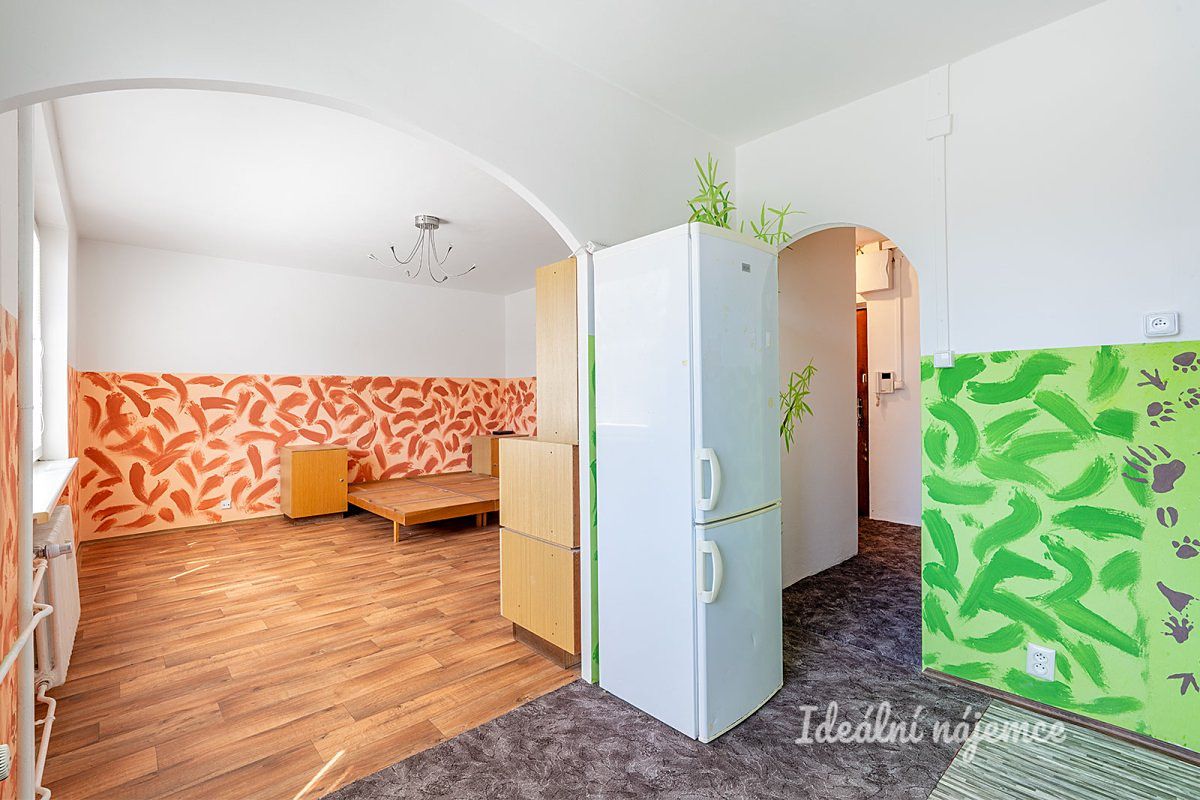 Pronájem bytu 1+1 47 m² – fotografie 4