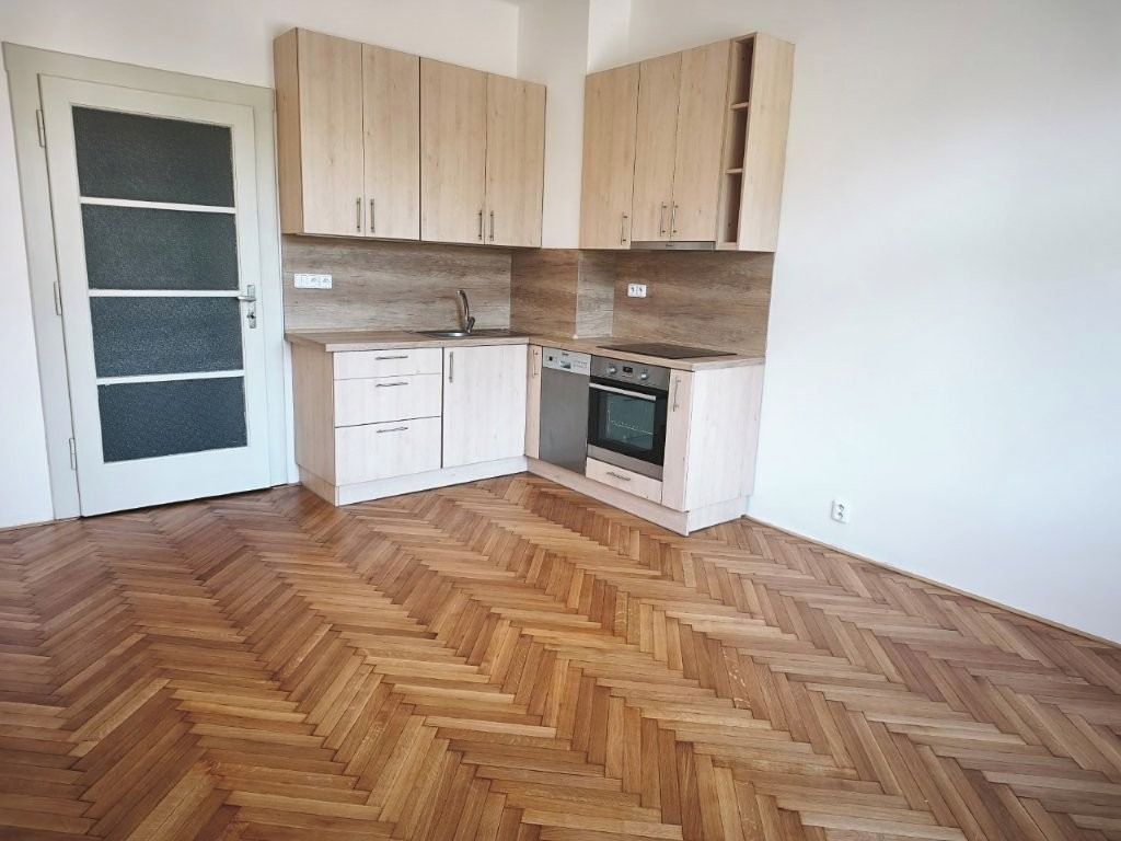 Pronájem bytu 1+1 45 m²