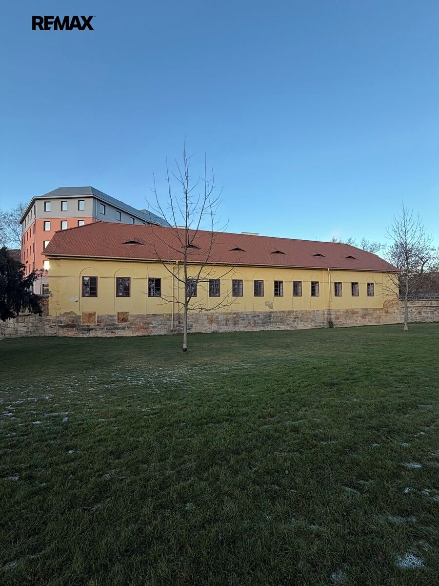 Prodej obchodního prostoru 660 m² – fotografie 3