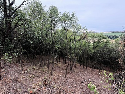 Prodej pozemku, 464 m² (3 z 7)