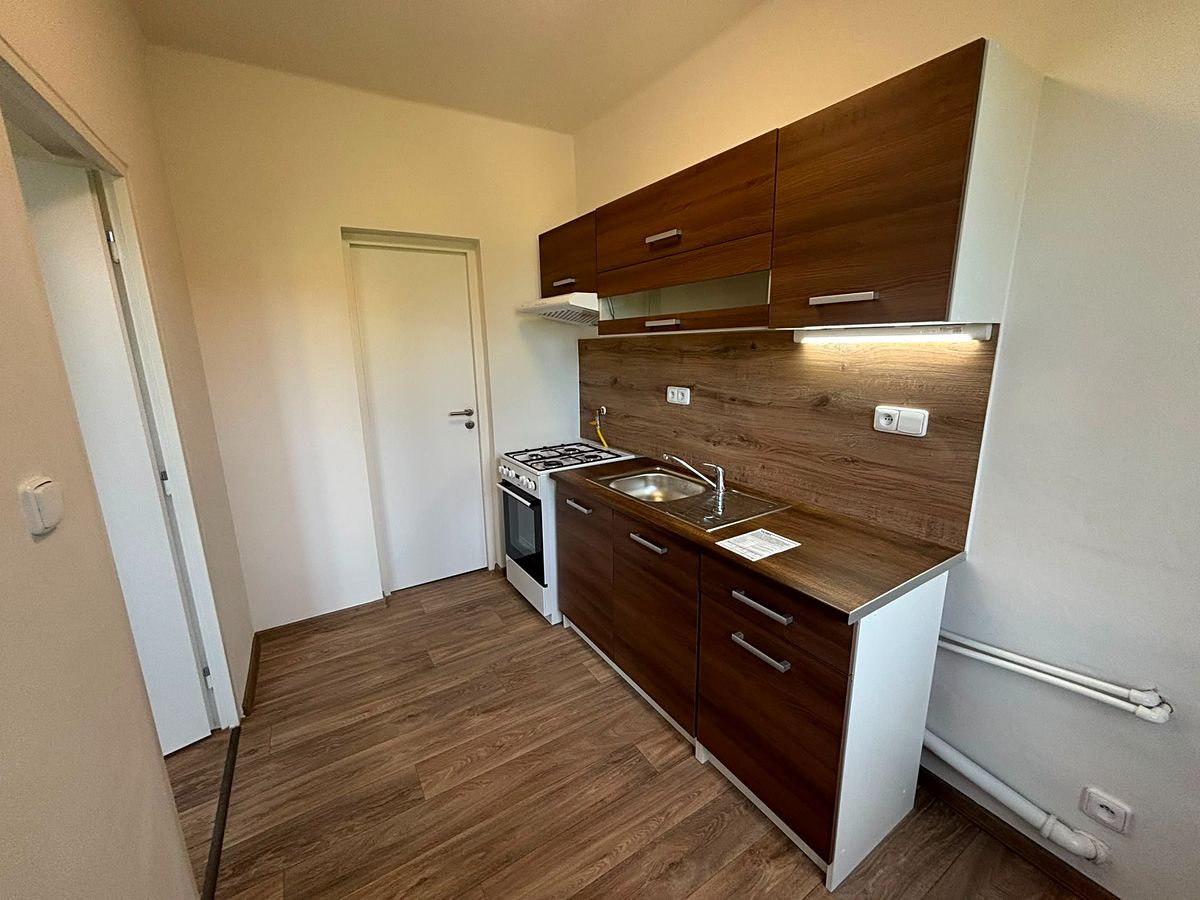 Pronájem bytu 1+1 38 m²