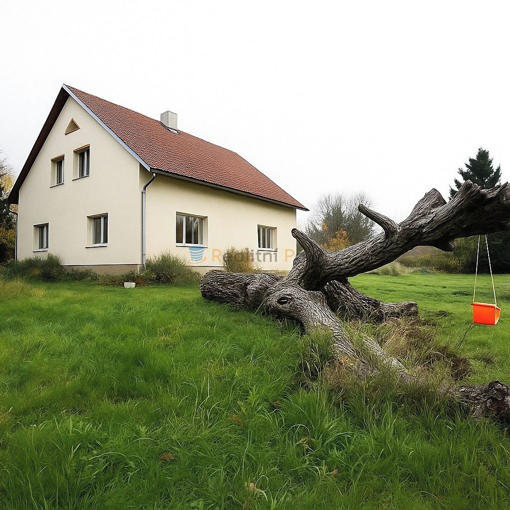 Prodej rodinného domu 90 m², pozemek 3037 m² – fotografie 2