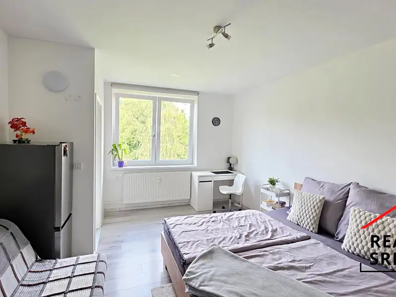Pronájem bytu 1+1 36 m², Frýdek-Místek – náhled fotky 3