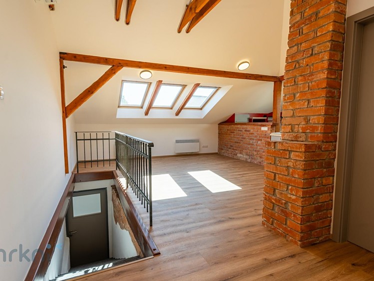 Prodej bytu atypical, 280 m² (6 z 46)