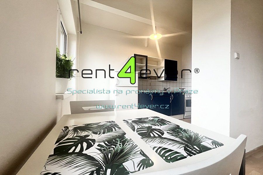 Pronájem bytu 1+kk 30 m²