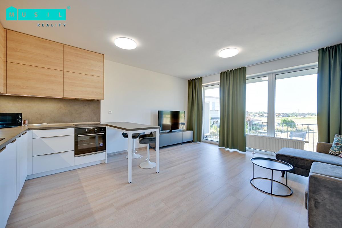 Pronájem bytu 1+kk 38 m²