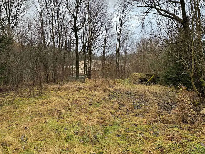 Prodej pozemku 3212 m², Lomnice nad Popelkou – náhled fotky 2