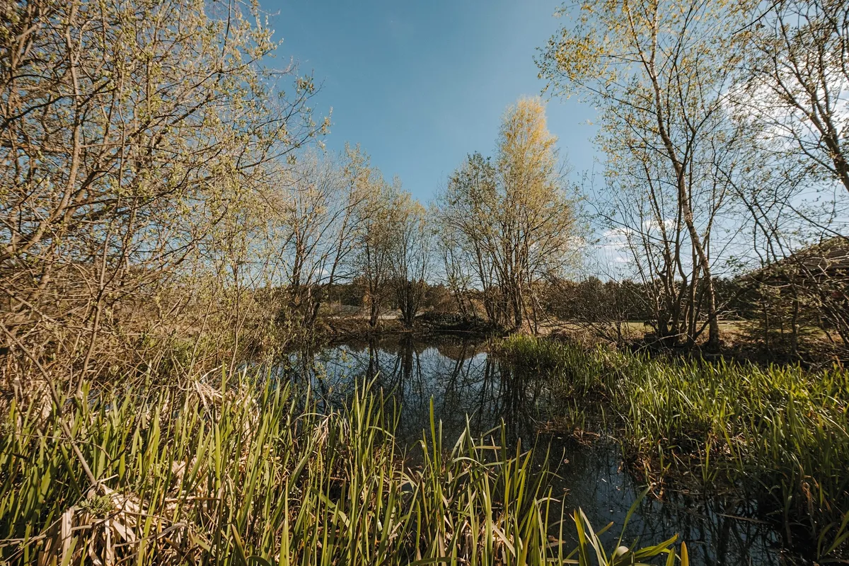 Prodej rodinného domu 280 m², pozemek 8138 m² — fotografie 25
