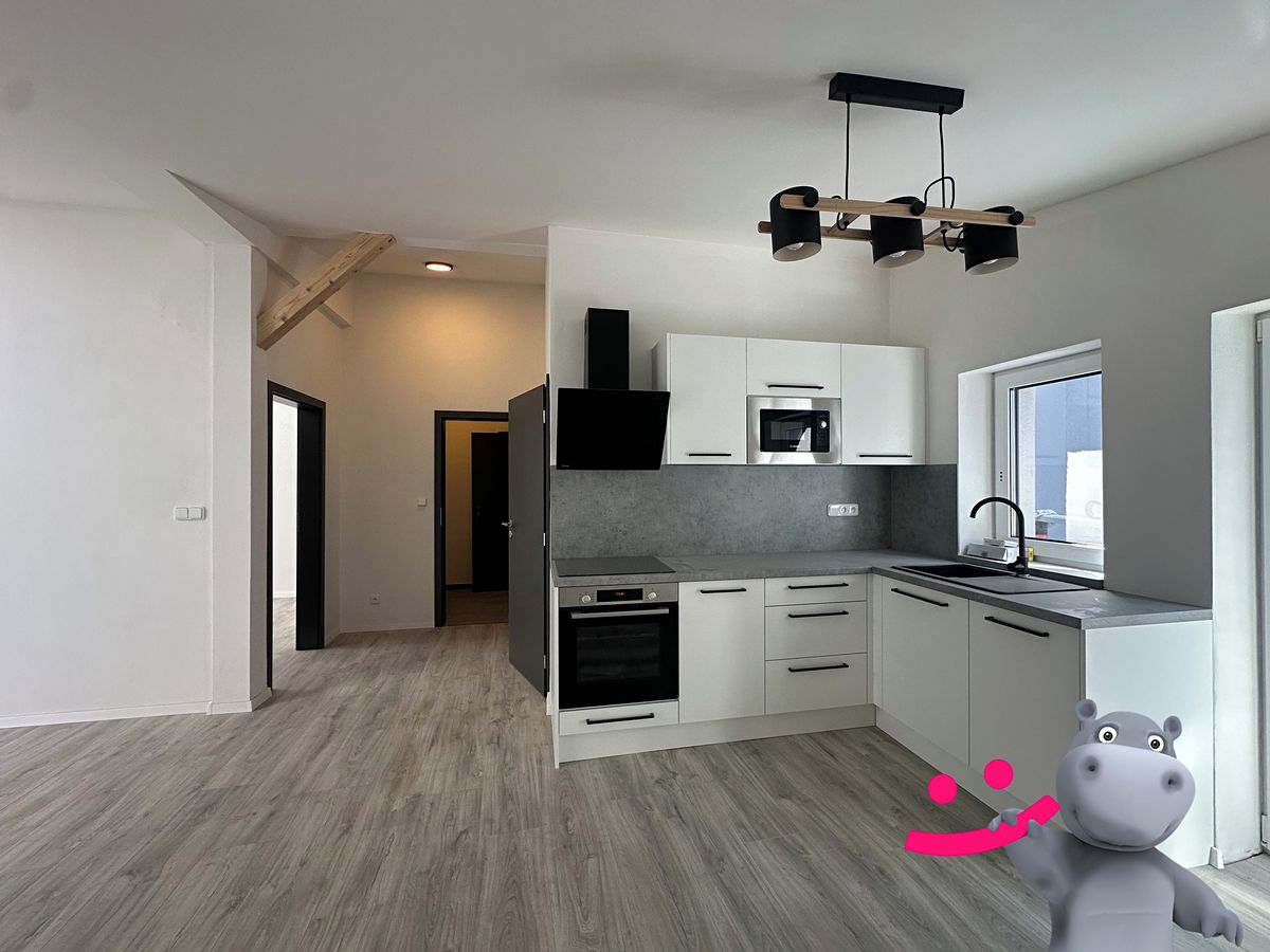 Pronájem bytu 2+kk 55 m²