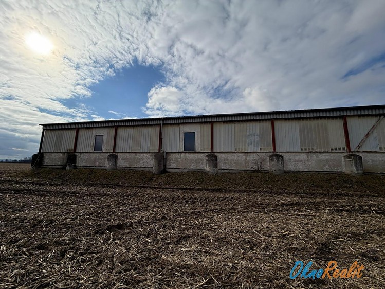 Комерційне приміщення в оренду, 200 м² (36 з 50)