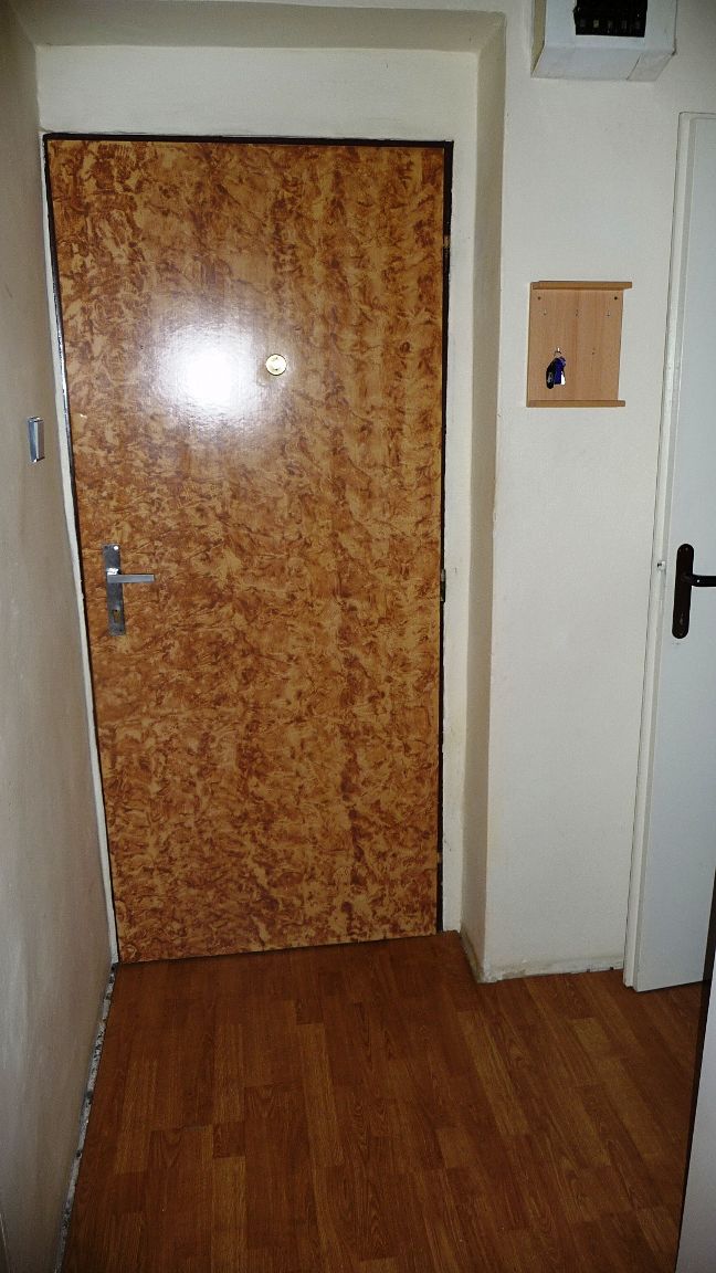 Pronájem bytu 1+1 45 m² – fotografie 5