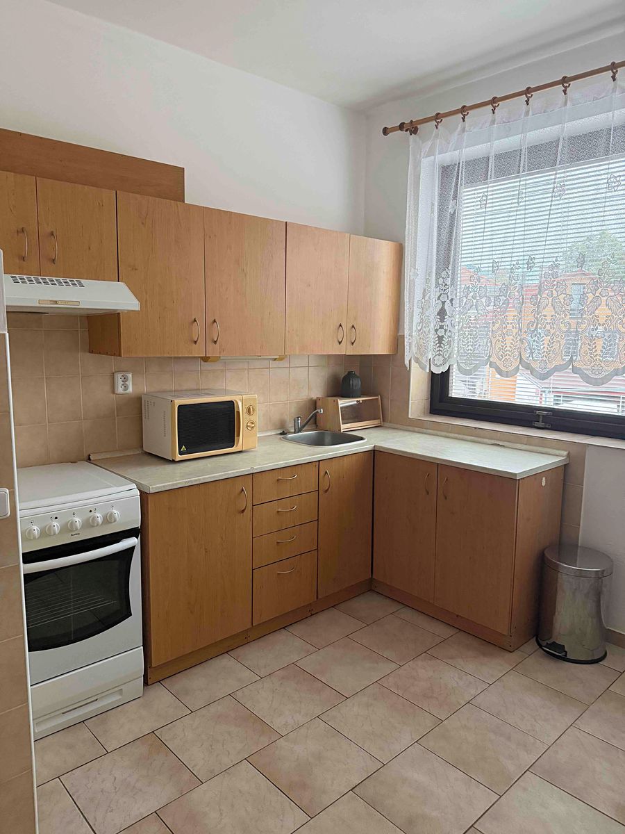 Pronájem bytu 1+1 46 m²