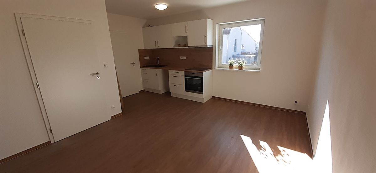 Pronájem bytu 3+kk 62 m² – fotografie 4