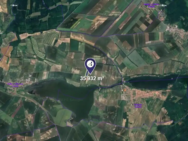 Prodej sadu, vinice 35932 m², Sedlec – náhled fotky 2