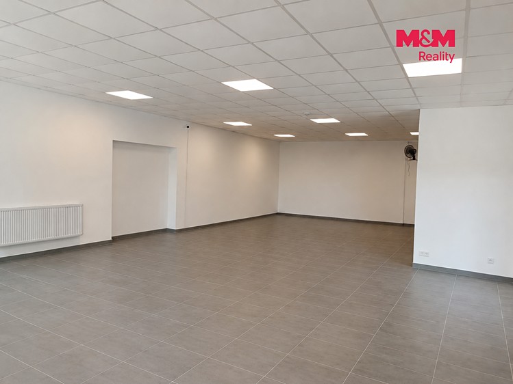 Комерційне приміщення в оренду, 105 м² (3 з 9)