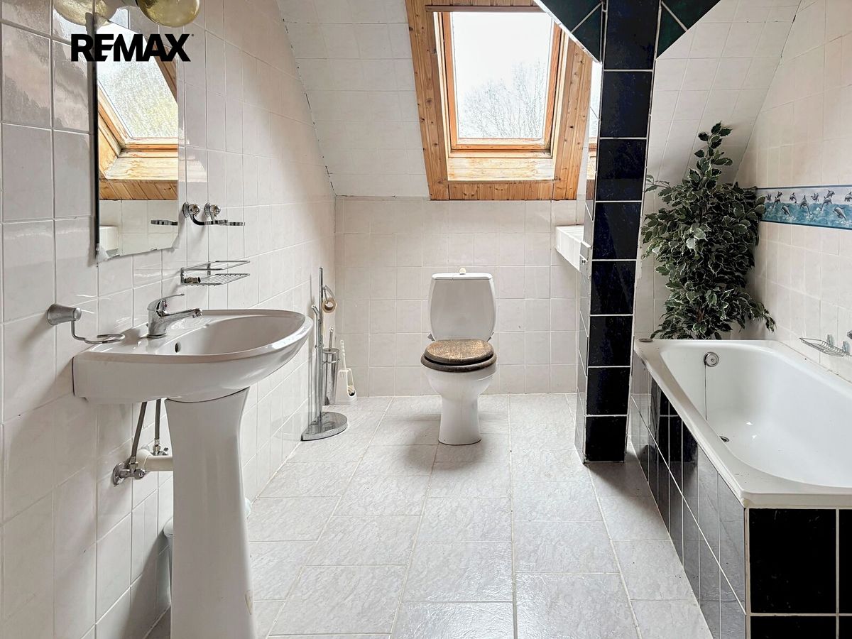 Prodej rodinného domu 209 m², pozemek 3490 m² – fotografie 3