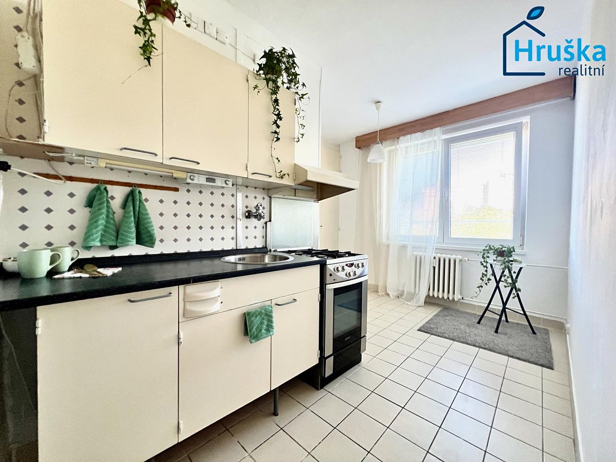 Pronájem bytu 1+1 39 m²