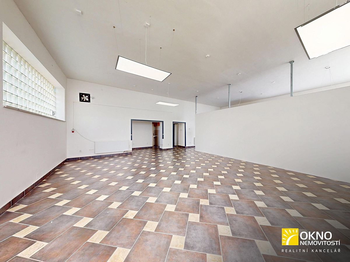 Prodej obchodního prostoru 232 m² – fotografie 3