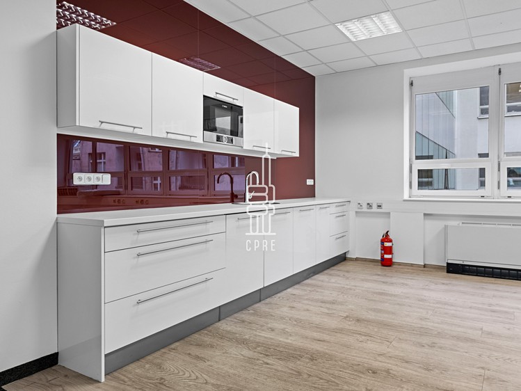 Pronájem komerčního prostoru, 342 m² (7 z 10)