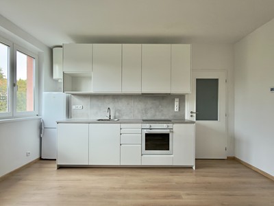 Prodej bytu 1+kk, 31 m² (3 z 15)