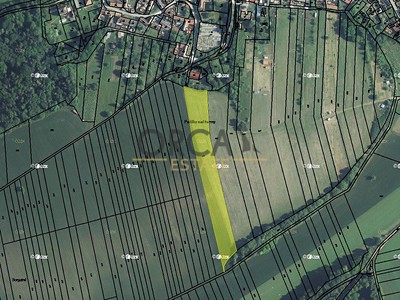 Prodej  pole 6 238 m²