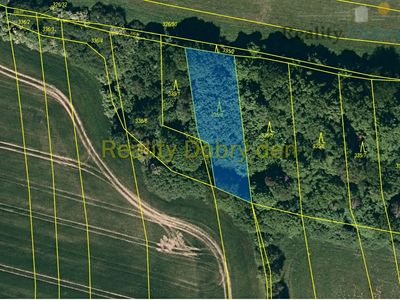 Prodej lesa 1839 m²