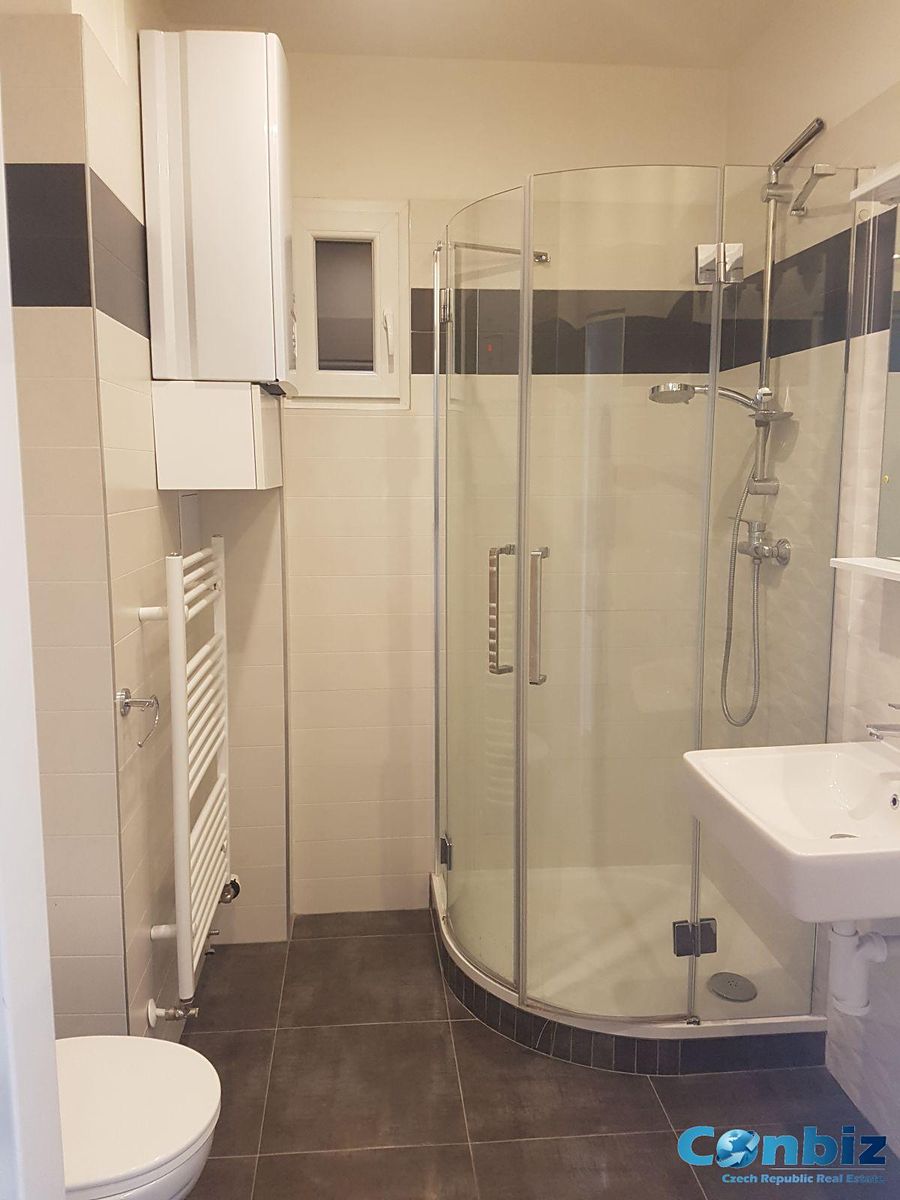 Pronájem bytu 1+1 40 m² – fotografie 5