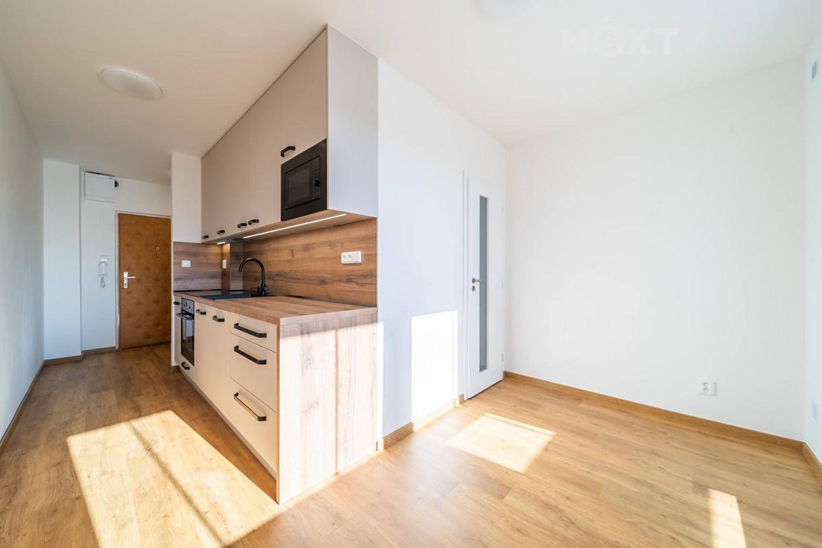 Pronájem bytu 1+1 45 m²