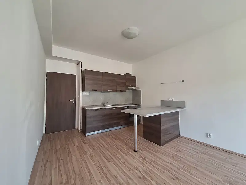 Pronájem bytu 2+kk 47 m², Praha – náhled fotky 1