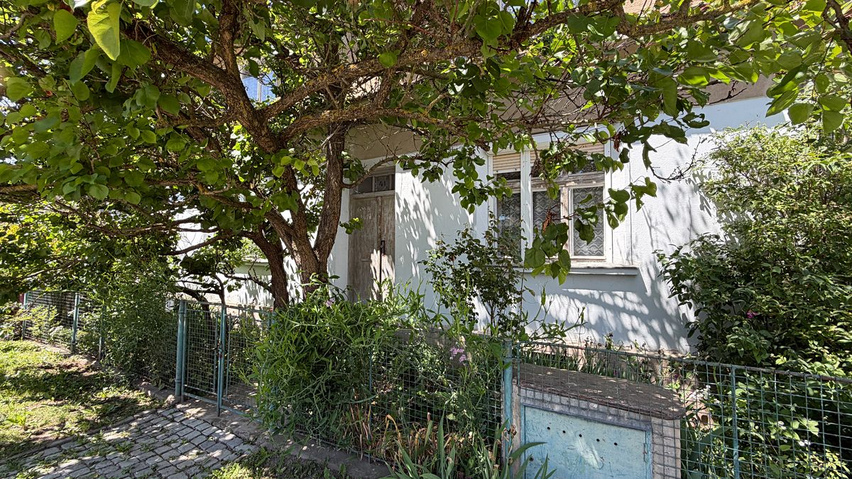 Prodej rodinného domu 287 m², pozemek 1681 m² – fotografie 2