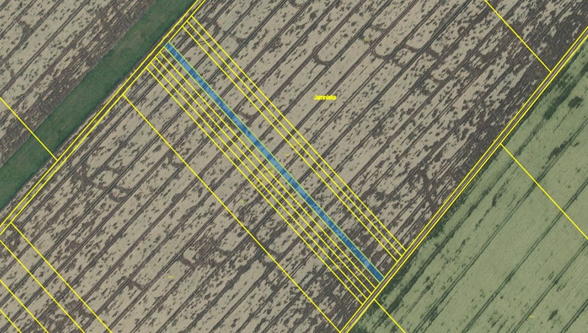 Prodej pole 7226 m² – fotografie 3