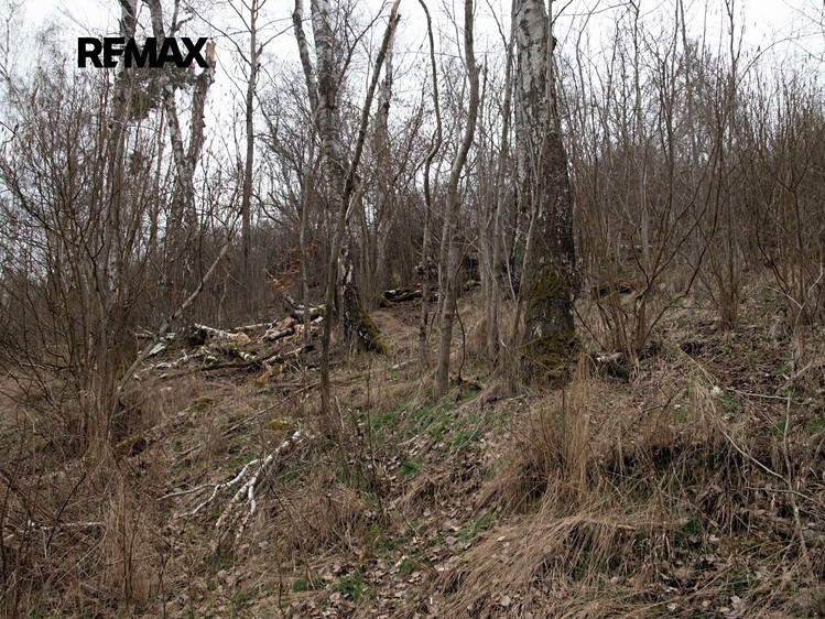 Prodej pozemku, 2 388 m² (10 z 14)