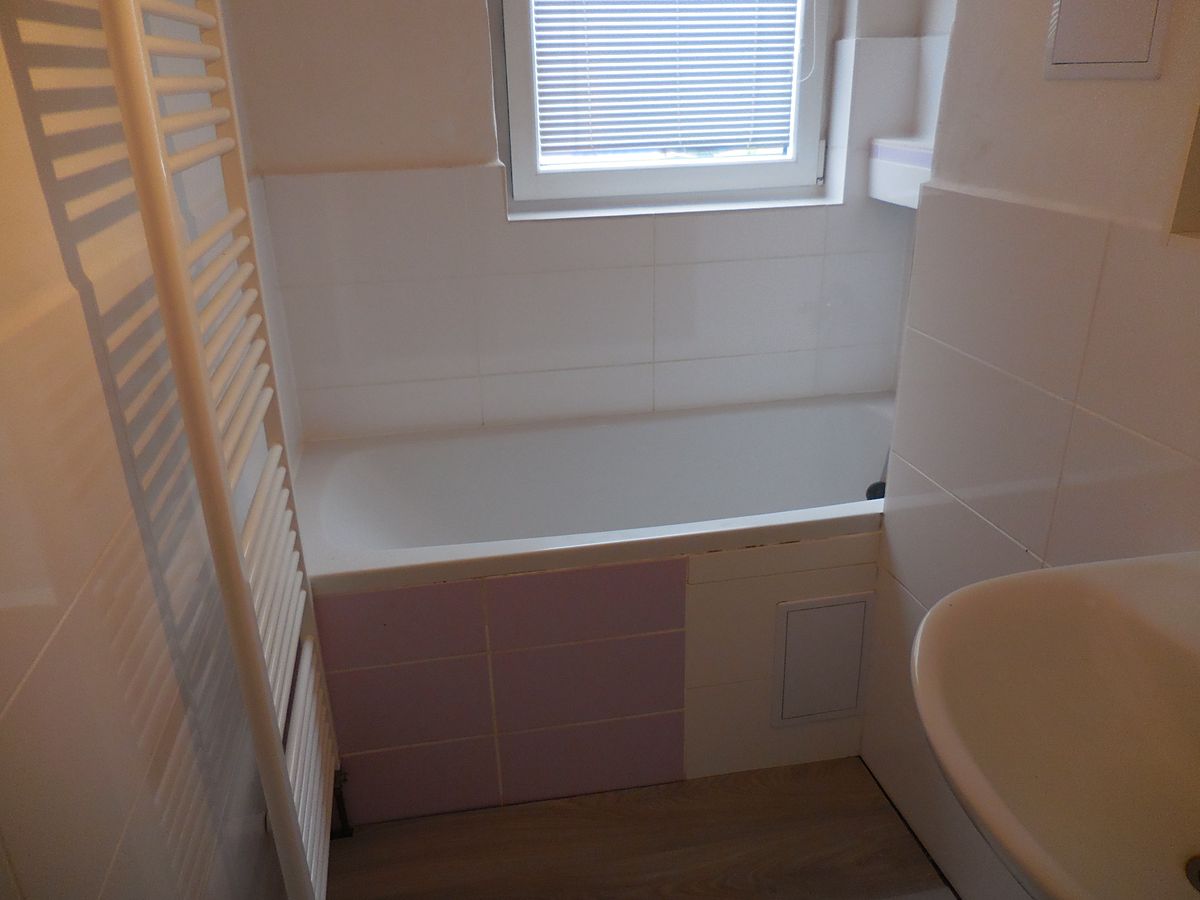 Pronájem bytu 1+1 45 m² – fotografie 2