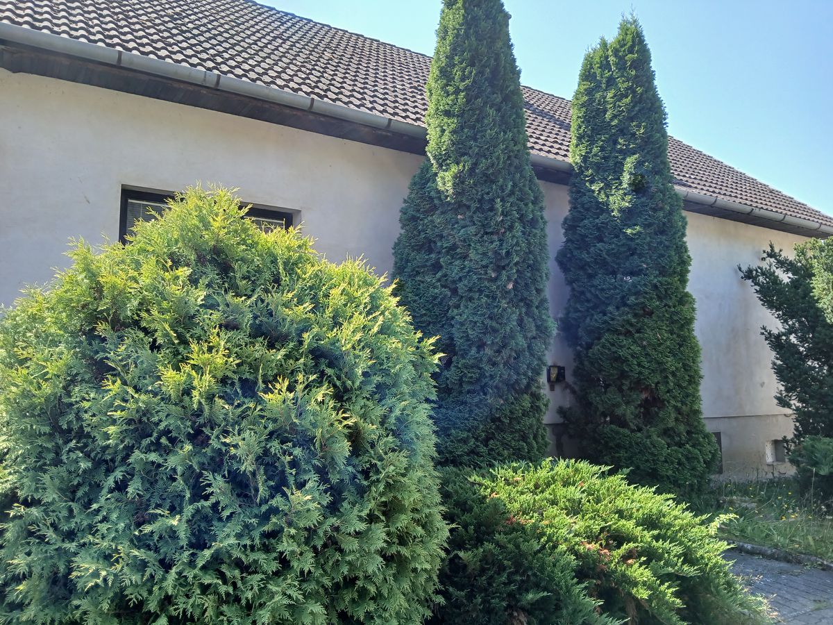 Pronájem rodinného domu 125 m², pozemek 314 m² – fotografie 3