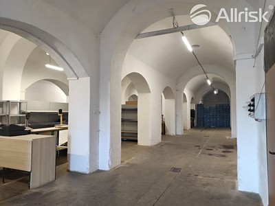 Gewerbefläche zur Miete, 350 m² (2 von 13)