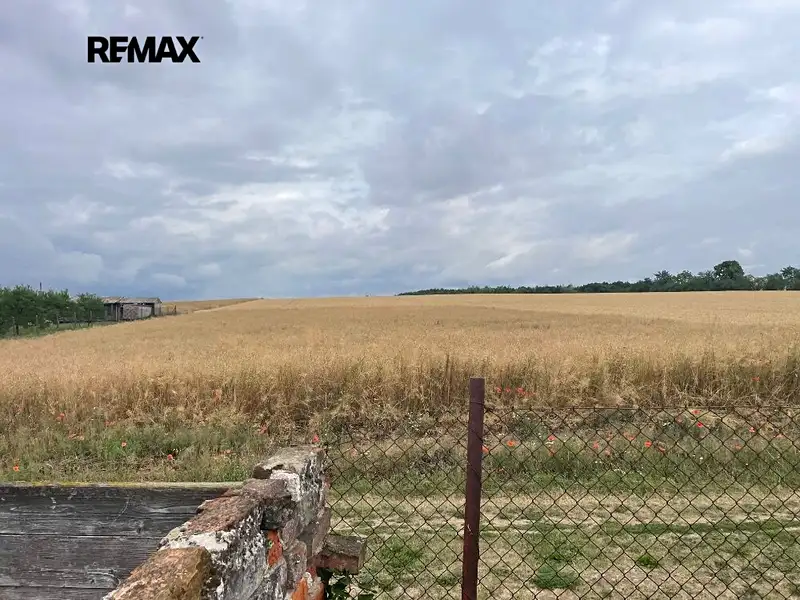 Prodej stavebního pozemku 1053 m², Nové Syrovice – náhled fotky 3
