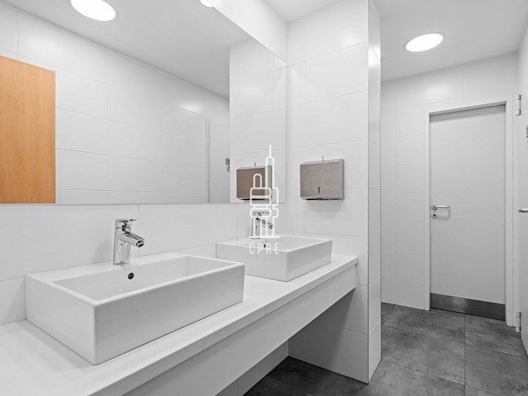 Pronájem komerčního prostoru, 342 m² (8 z 10)