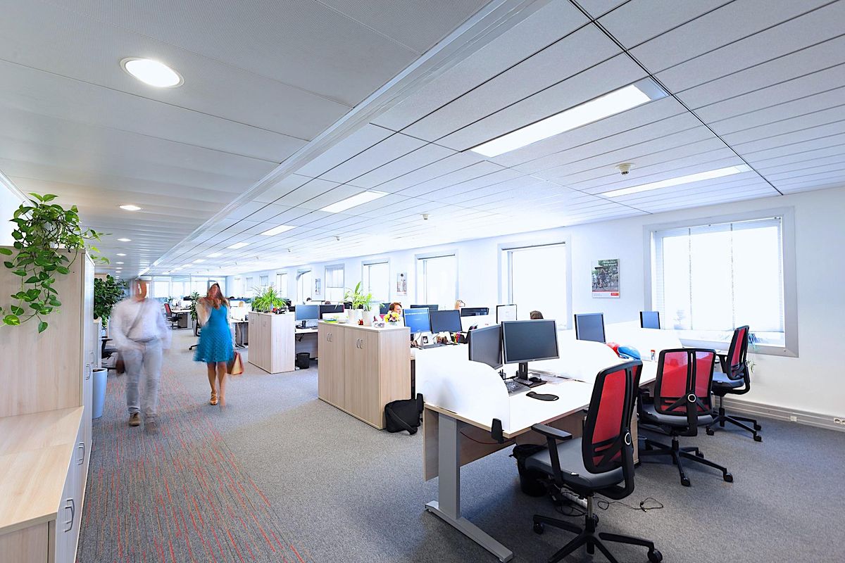 Pronájem kanceláře 160 m² – fotografie 3