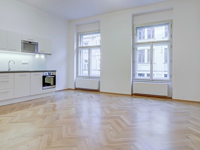 Pronájem bytu 1+kk 42 m²