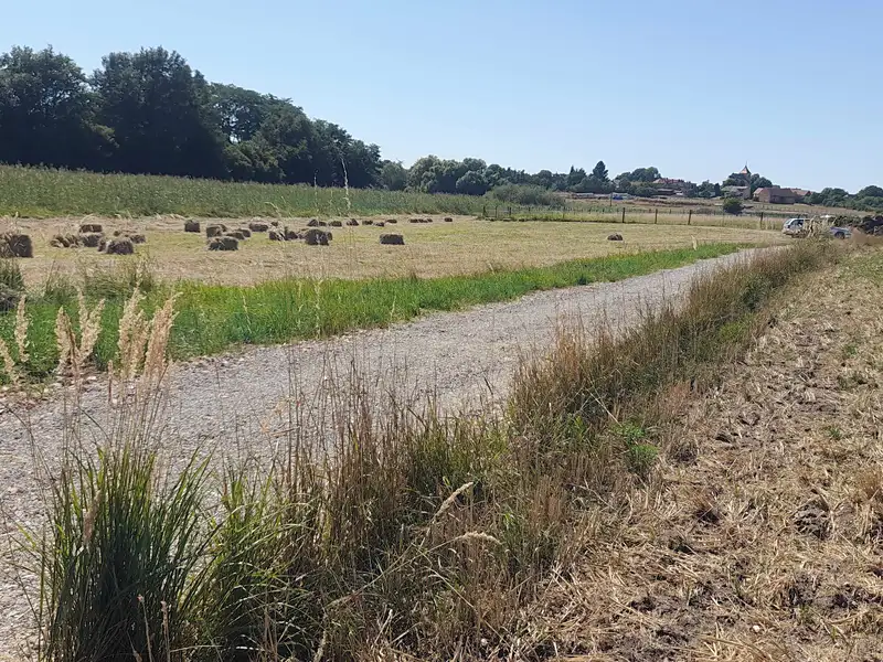 Prodej zahrady 2897 m², Čachovice – náhled fotky 3
