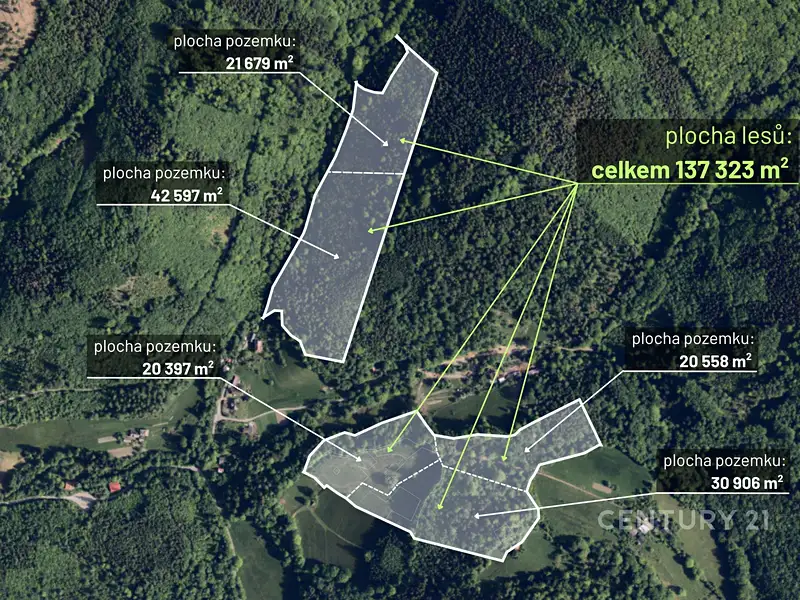 Prodej lesa 20558 m², Nýdek – náhled fotky 2