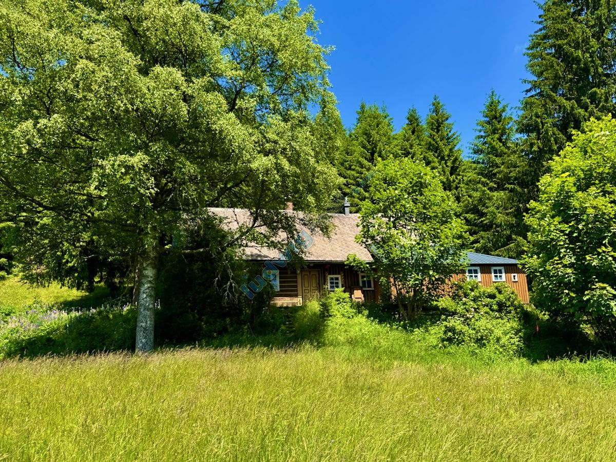 Prodej chalupy 158 m², pozemek 11957 m² – fotografie 4