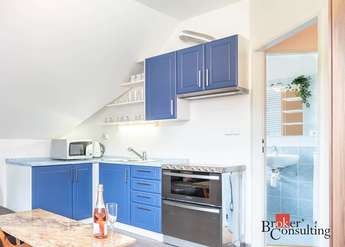 Pronájem bytu 2+kk 46 m² – fotografie 3