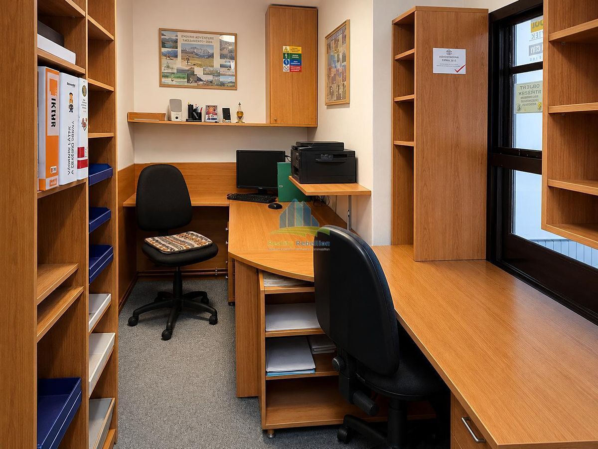 Prodej obchodního prostoru 241 m² – fotografie 2